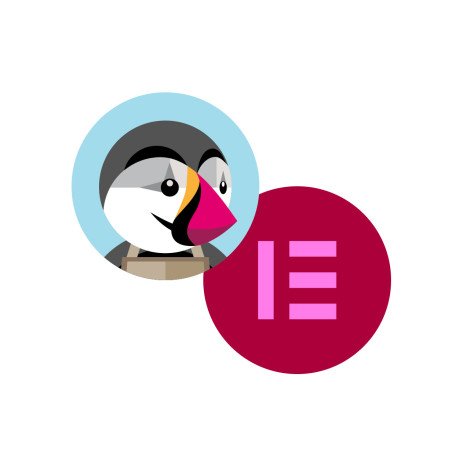 formation Prestashop Elementor