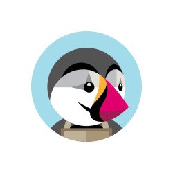 Créer son boutique en dropshipping avec PrestaShop